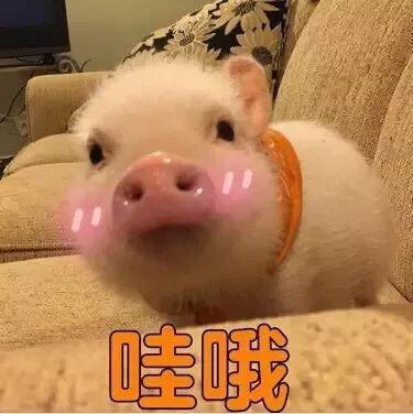 开塞露和白醋可以消除鸡皮肤吗,开塞露真的可以用于护肤吗测评