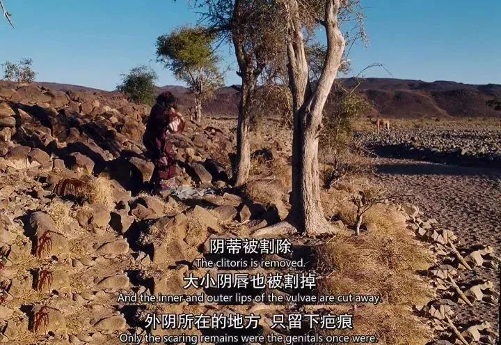 真实的细思极恐的习俗,惨无人道的习俗和禁忌