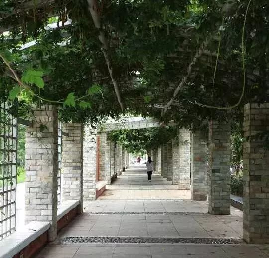 昆明情侣一日游的最佳景点,昆明情侣打卡景点排行榜