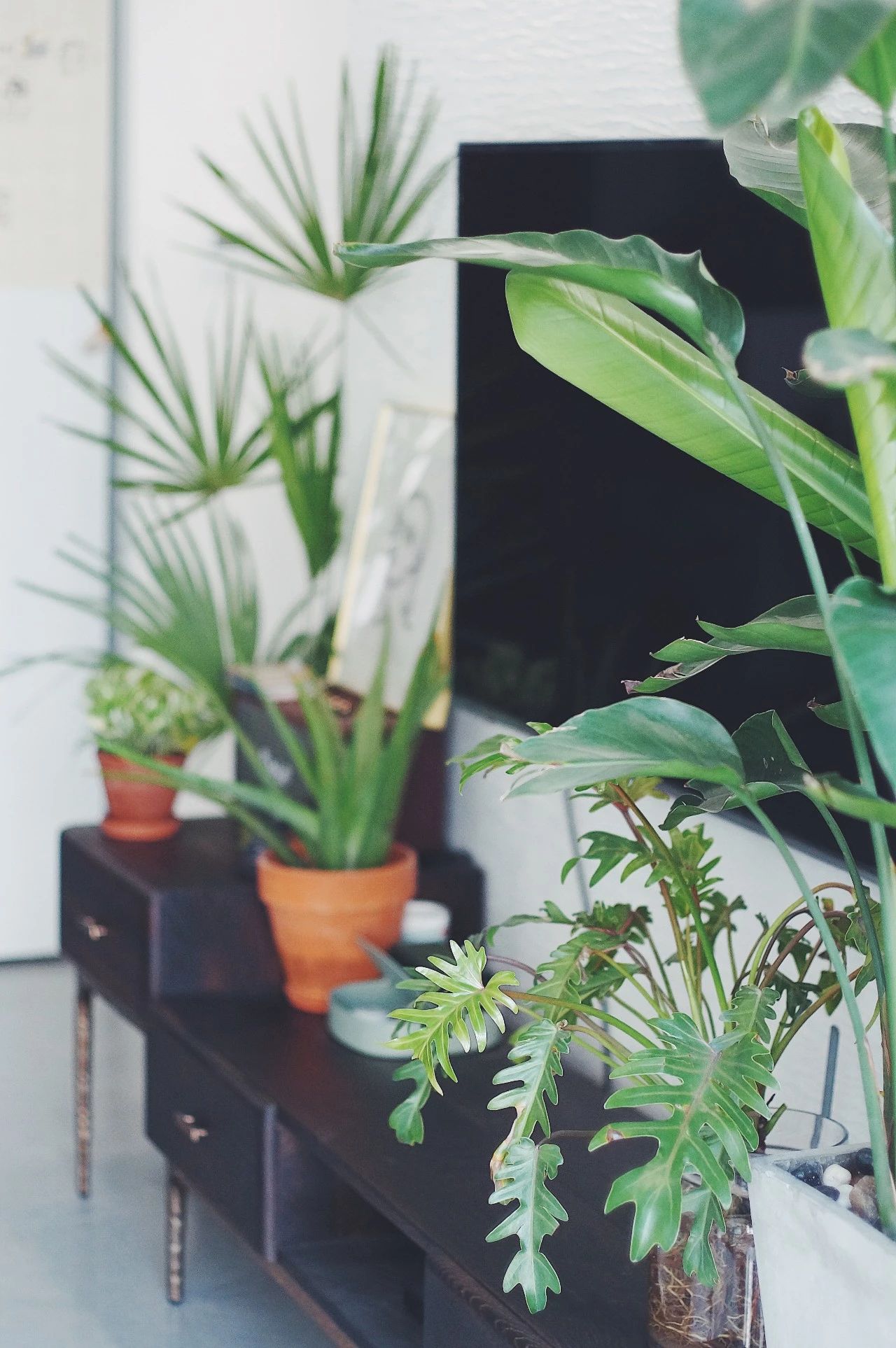 马赛克轻奢家庭装修,小清新北欧风装修