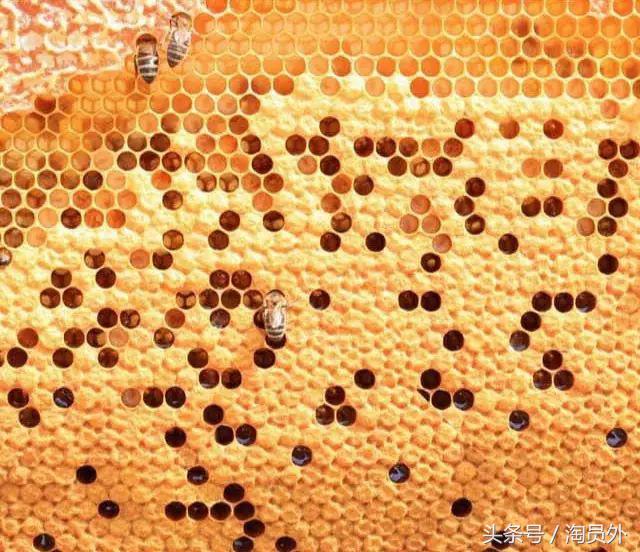 与我们此生的甜蜜如初:库什台野*党**参花蜂蜜