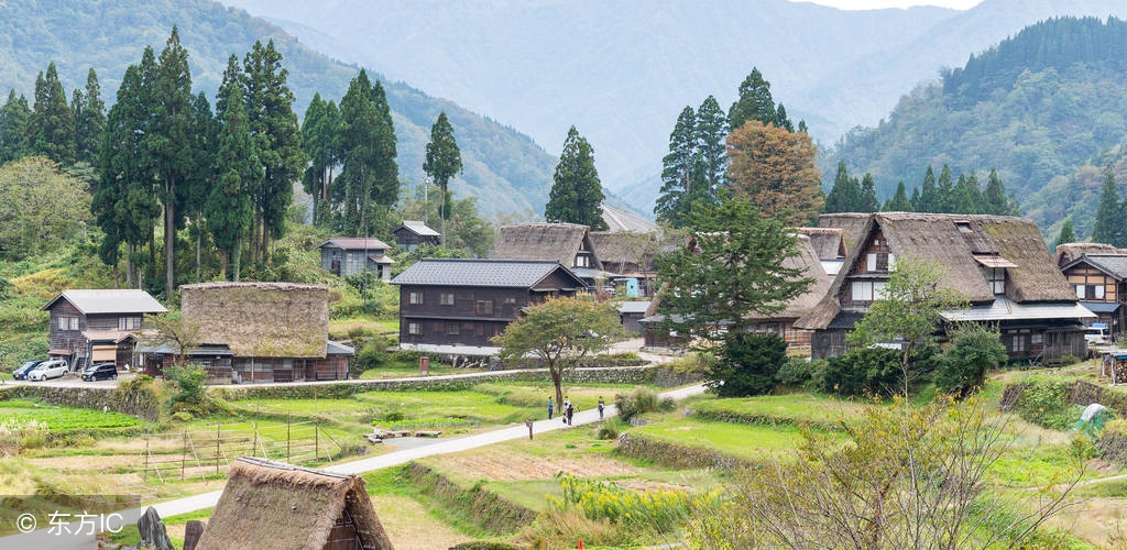 企业家汤敏个人资料,汤敏谈农村创业