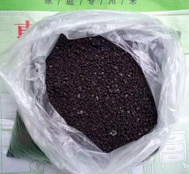 封闭小阳台种菜新手入门教程,家里小阳台种菜怎么种