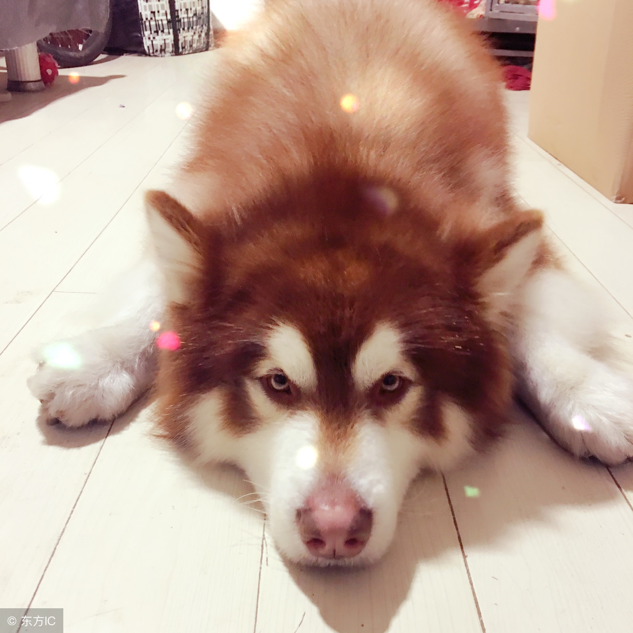 吐槽大会无聊且枯燥,吐槽大会不想上班主题