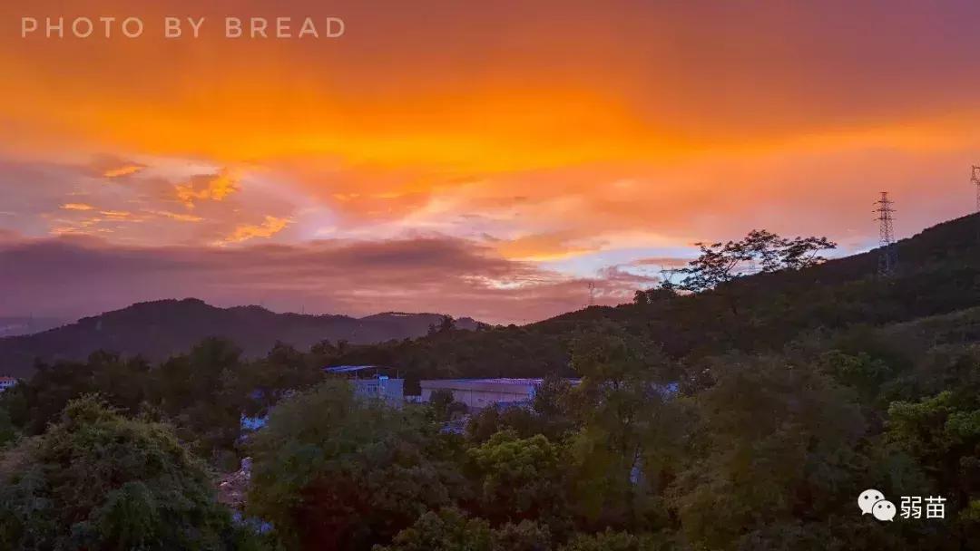 西双版纳四日博物之旅，都有哪些新发现