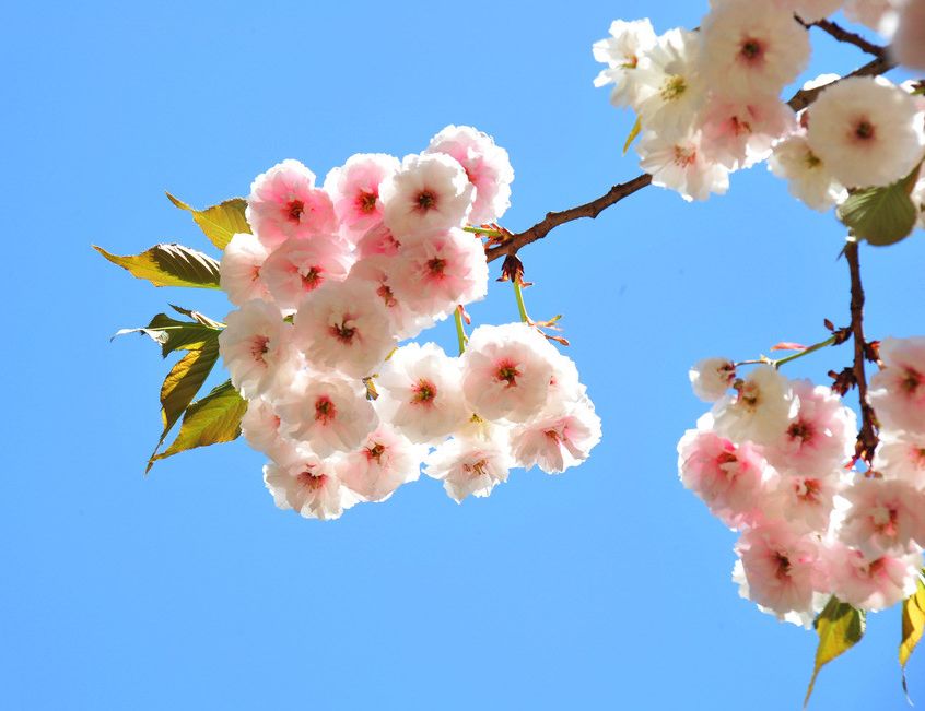 作为一个优秀的成都人，你的朋友圈肯定是这样的！
