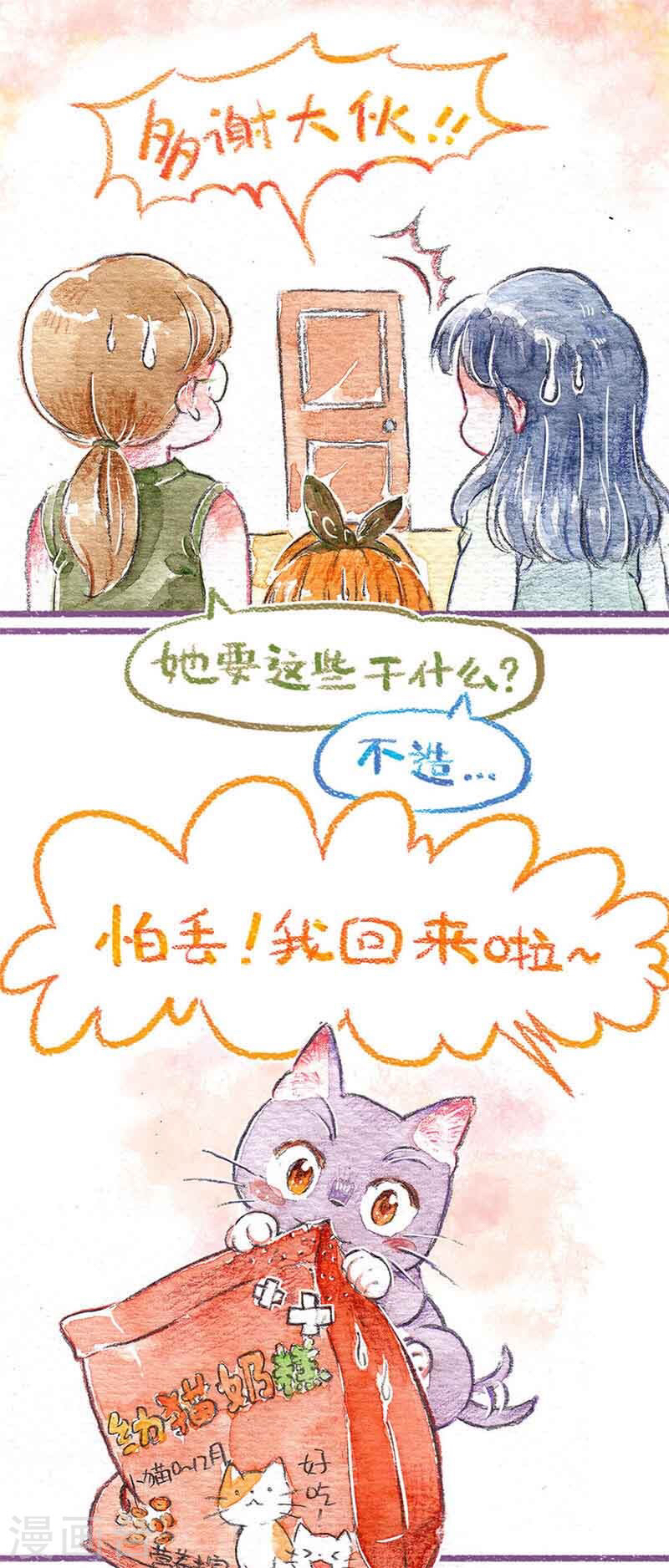 猫主子和他的铲屎官漫画,猫咪都是铲屎君漫画完整版