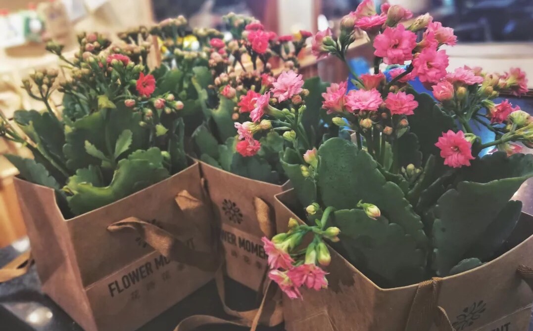 情人节鲜花厦门,情人节不想送玫瑰花