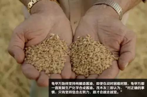 龟甲万酱油和万字酱油有什么不同,龟甲万酱油和中国酱油口感区别