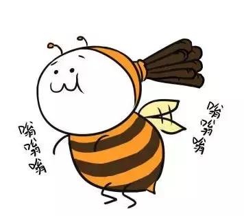 被蜂蛰了过敏性休克,被蜂蛰了去医院怎么医治