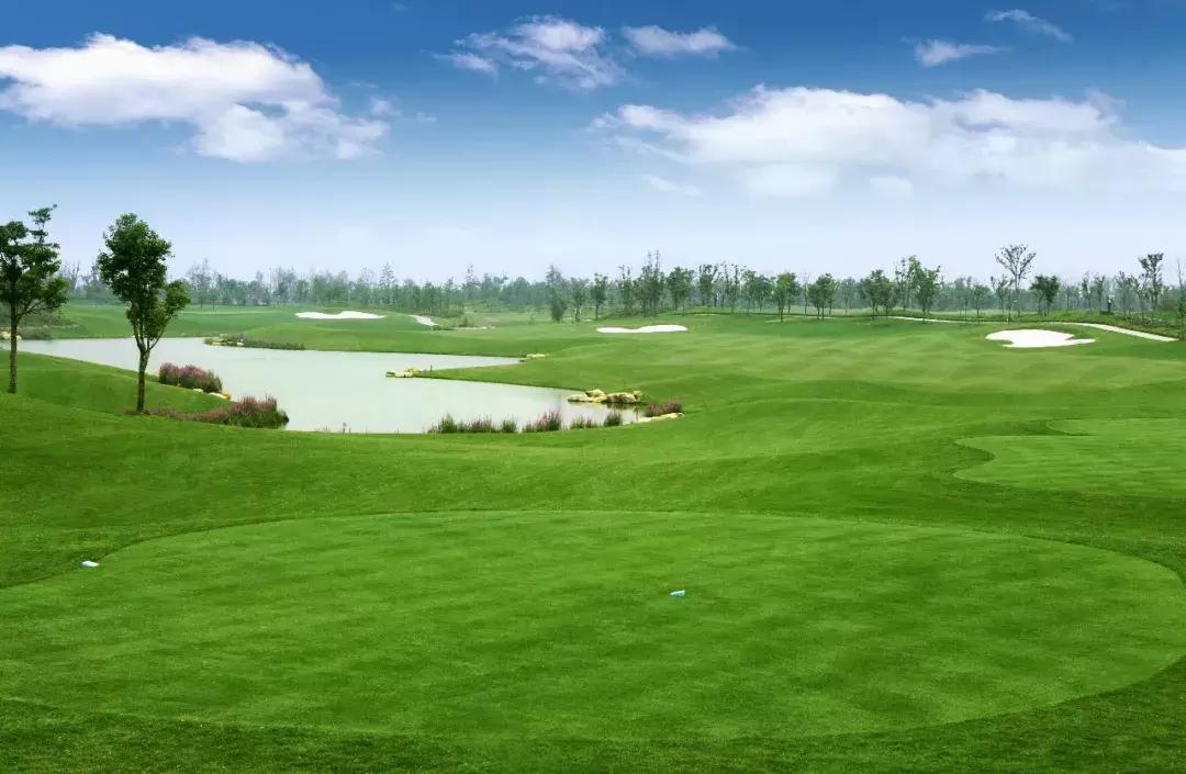 真正的苏州金鸡湖,苏州相城区金鸡湖