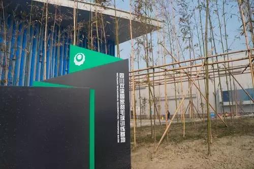 樊振东陈梦打球国乒全员出战,樊振东陈梦成都混合团体世界杯