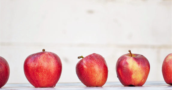 跟闺蜜打赌一年内追到校草,跟室友打赌要追校草
