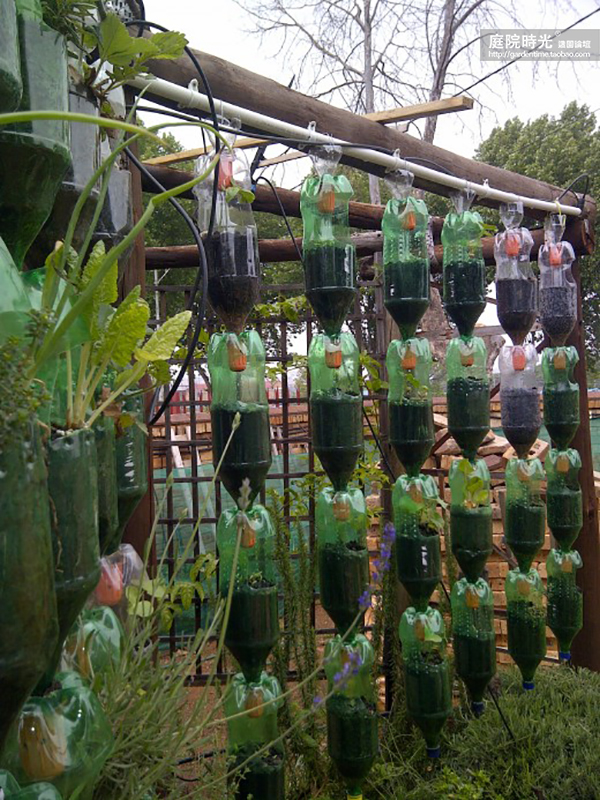 变废为宝自制栽培绿植器皿,塑料瓶创意绿植盆栽旧物利用