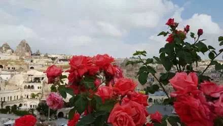 土耳其里拉持续贬值物价怎么样,土耳其里拉为什么会大跌