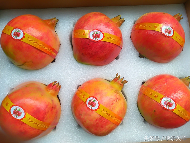 会理石榴之乡突尼斯软籽石榴,会理县软籽石榴之乡