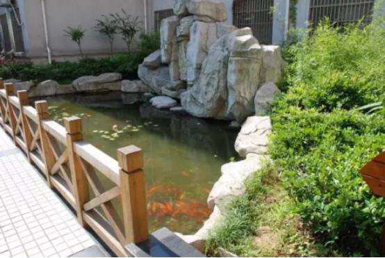 2019南昌中考学校排名,南昌市第二中学高中招生计划公布