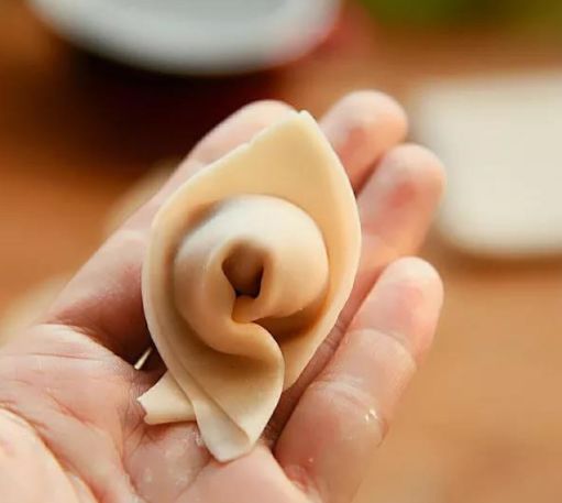 十种最漂亮的云吞包法,云吞包法视频12种包法