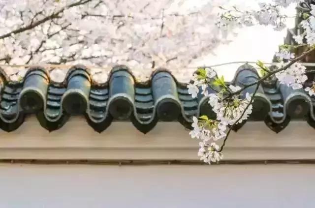 四书五经必背80条名句,四书五经的经典词句