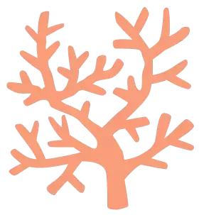 来厦大都看什么,来厦大以后才知道的事