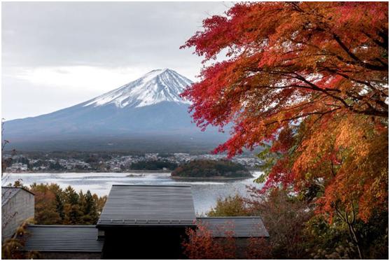 星野集团官网,星野集团第十分公司