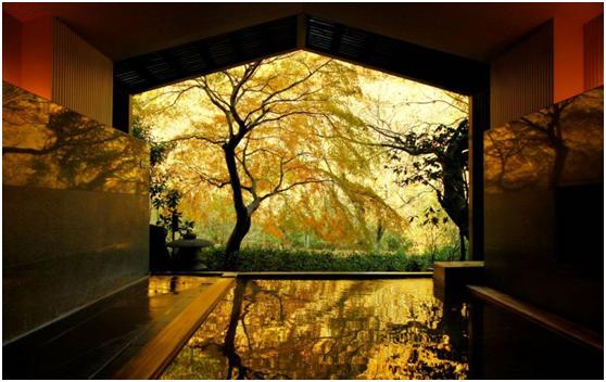 星野集团官网,星野集团第十分公司