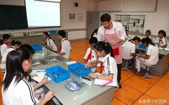 东外坑惨了99个娃~上海民办小学双语到底怎么选？