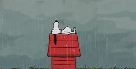 东外坑惨了99个娃~上海民办小学双语到底怎么选？