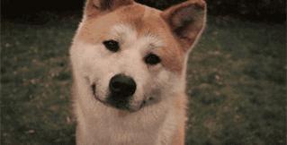 学会这五句话你会越来越好,学会这五句话让你生活更美好