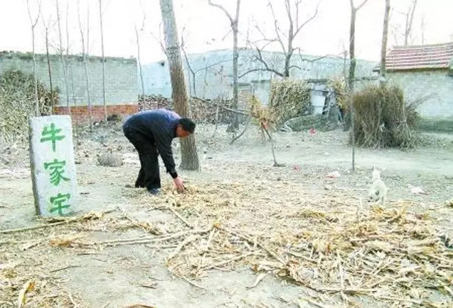 七夕情人节牛郎织女的小故事,南阳牛郎织女传说