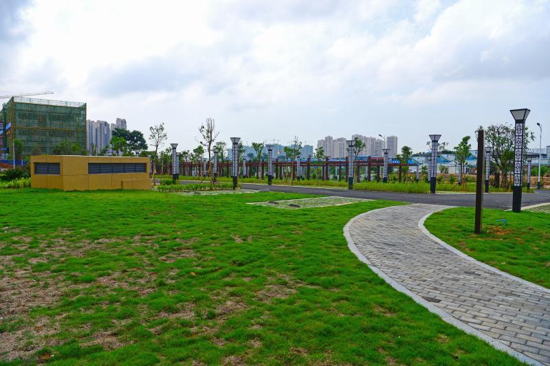 广西壮医国际医院预约及挂号,广西国际壮医医院开业