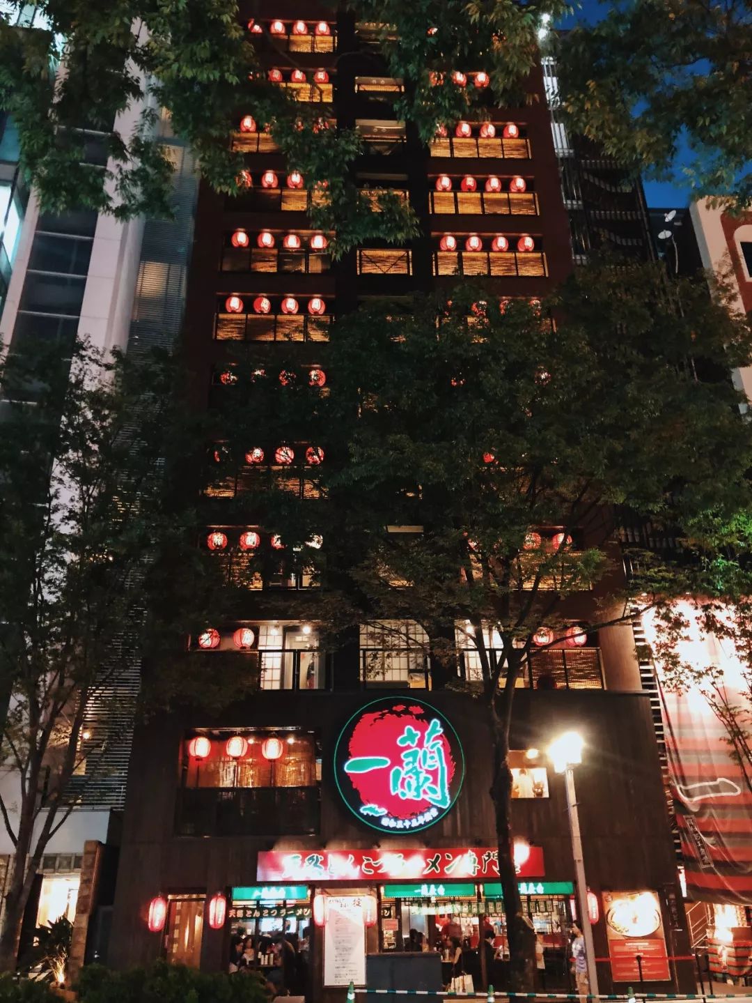 日本发现的大宝藏,日本挖出大宝藏