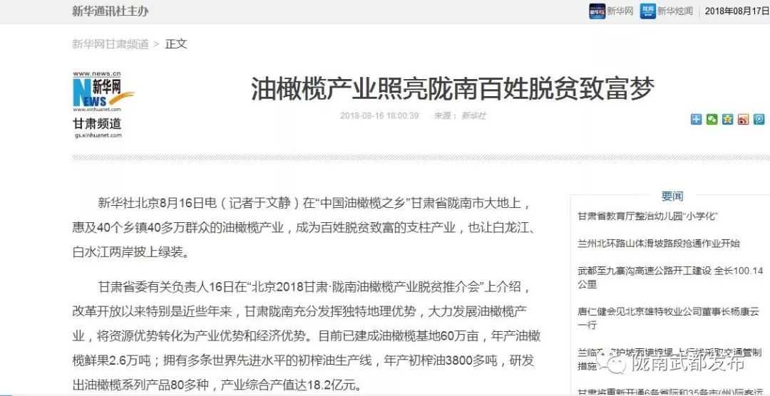 今生广种橄榄树，来世还做陇南人！