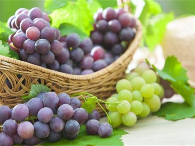 葡萄皮和葡萄籽吃了有什么好处,葡萄皮和籽有什么好处
