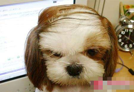 你今天笑了吗笑脸图片,你今天笑了没图片