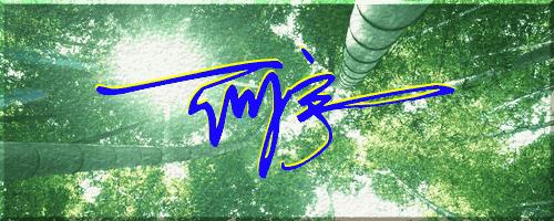 051期：目前已经制作了一千三百多个姓名大家找一下