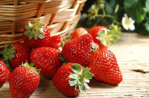 又到一年草莓种植季,你的草莓脱毒苗买好了吗,这6立体栽培方式有5大好处,值得你尝试
