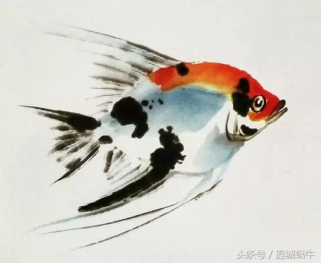 国画锦鲤鱼的画法与调色,国画写意神仙鱼100图欣赏