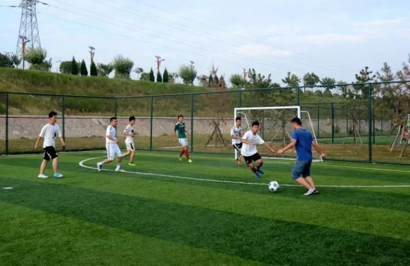 宝鸡十大湿地公园排名,宝鸡市自然生态园林公园