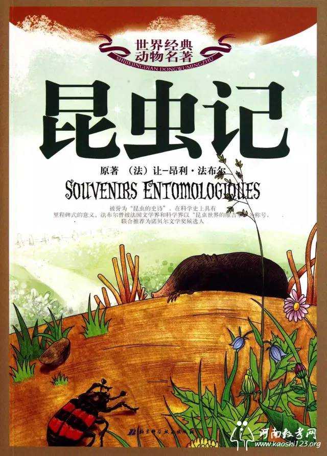 初中文学名著常识必考知识归纳,中考文学名著必考常识