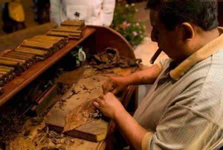 新手抽雪茄抽什么牌子的,新手雪茄客入门必知