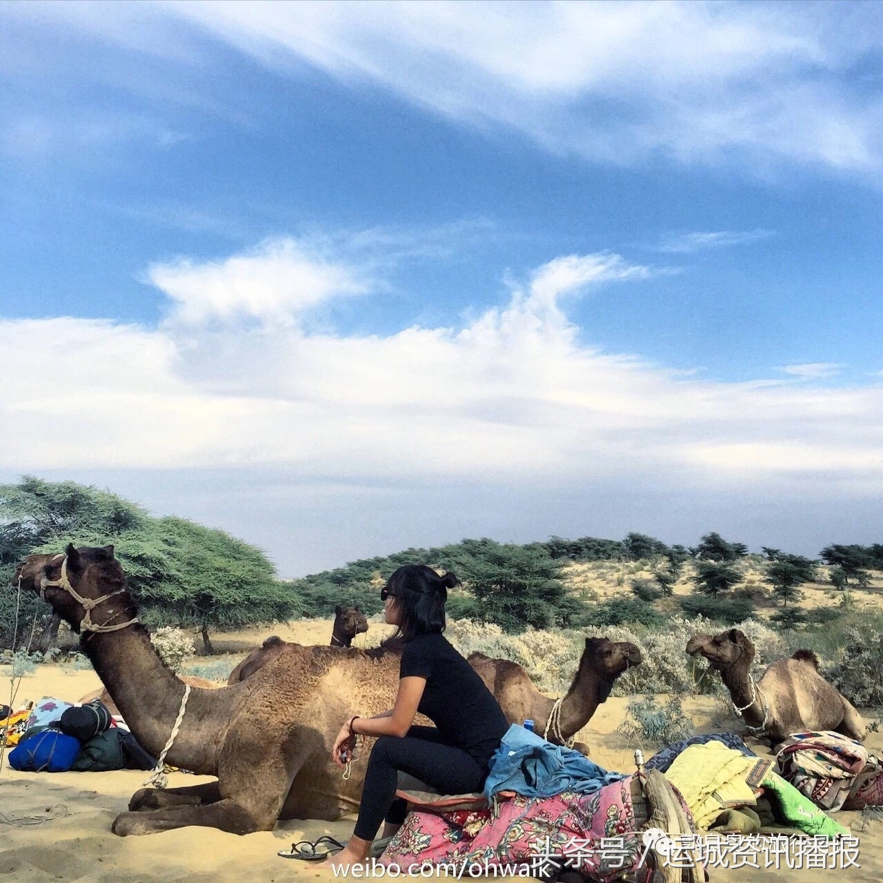 20岁的运城姑娘是如何走遍世界的