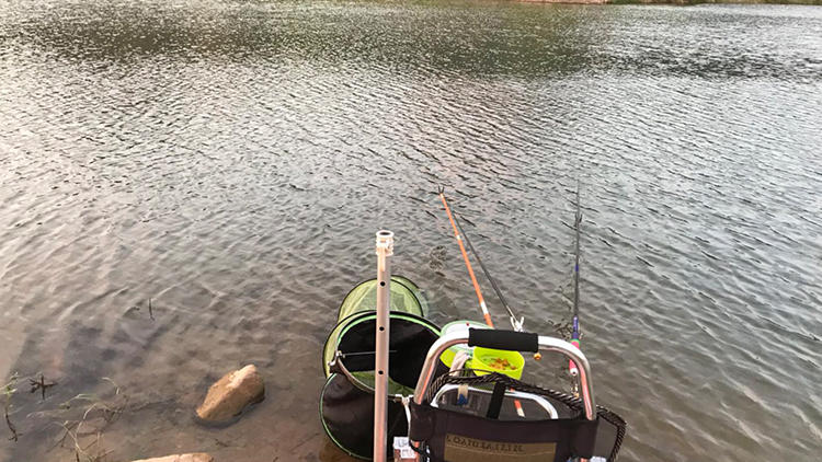 钓了这么多年鱼,钓了这么多年的鱼