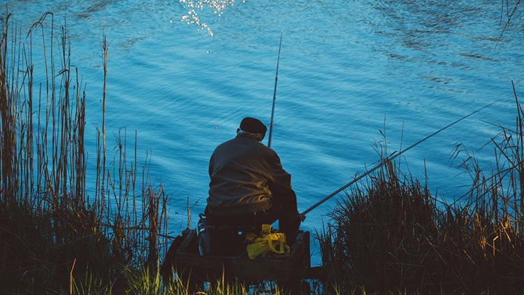 钓了这么多年鱼,钓了这么多年的鱼