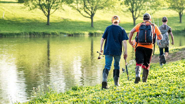 钓鱼手竿最详细的基础知识讲解,钓鱼手竿技术基础知识