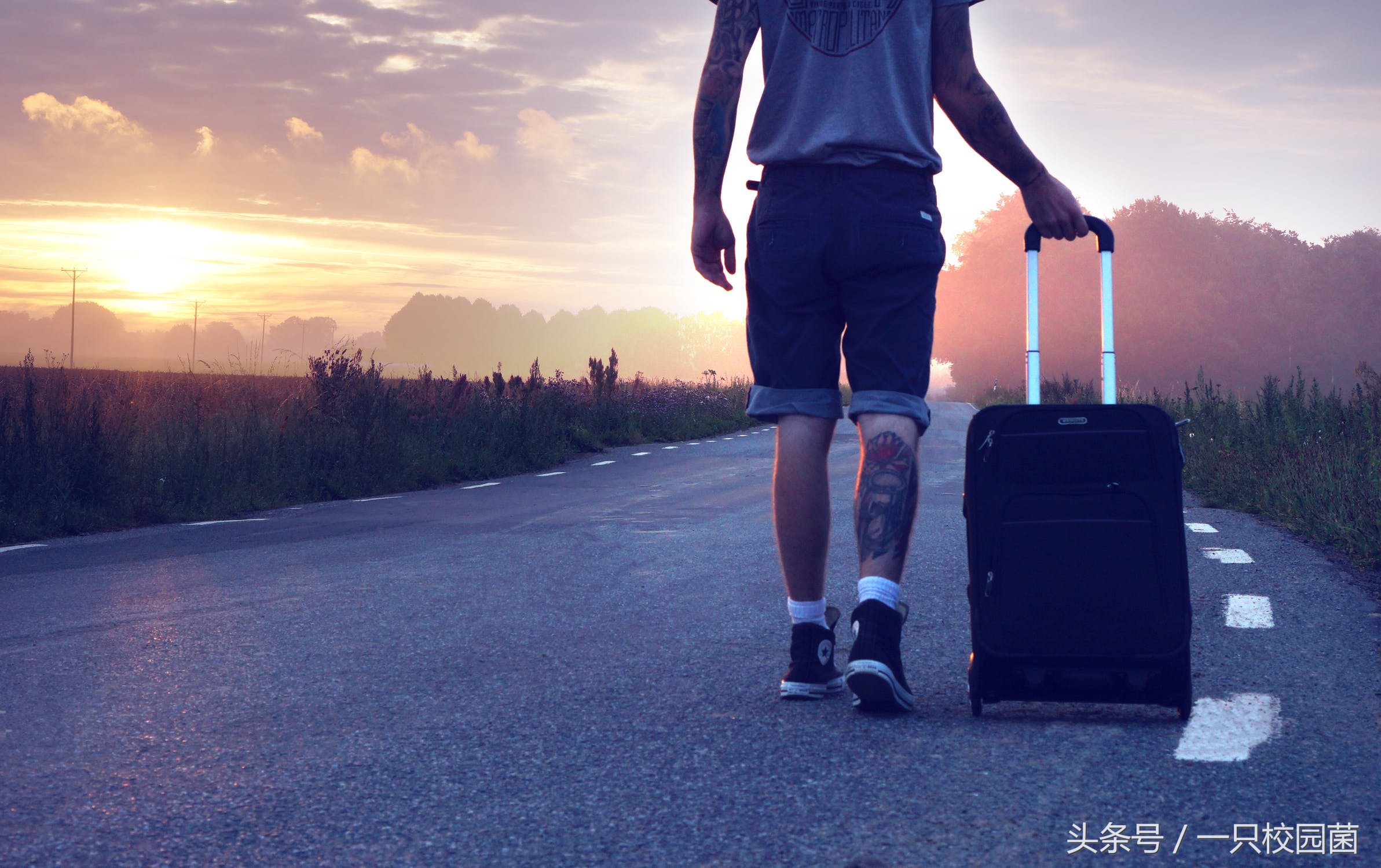 最新的时髦的英文短语,英文版流行词