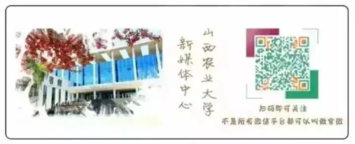 拥有一面神奇的魔镜,有一个魔镜可以测一下你的脸型