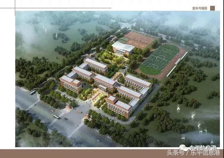 东平镇中心小学2019,东平县城街道中心小学