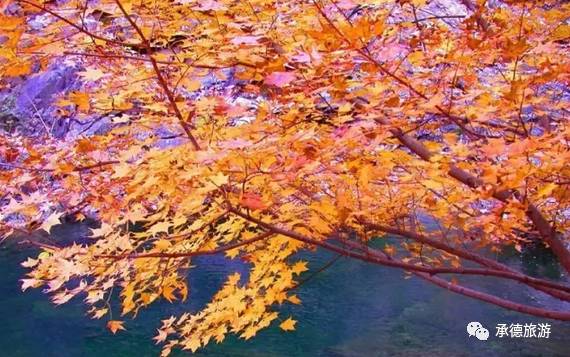 醉美九龙,九龙潭踏青一日游