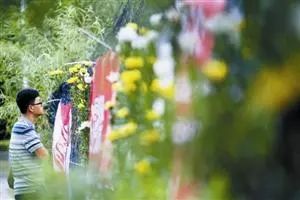 深圳失去双臂,深圳现状是什么